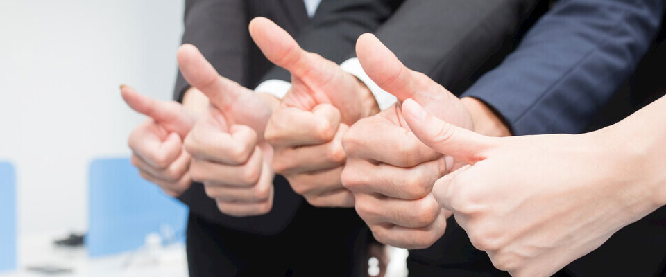 Team Collaboration